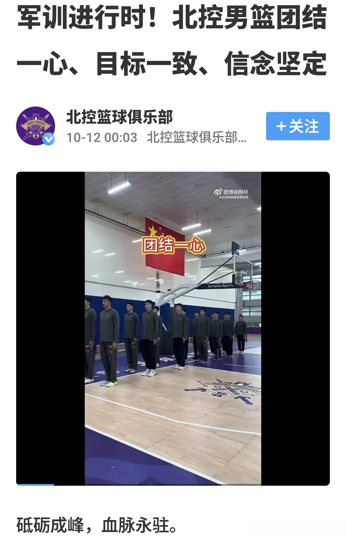 国产后卫刘, msn